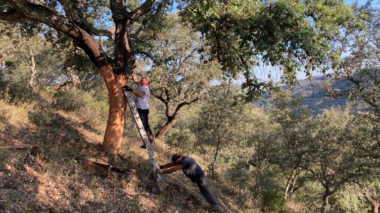 WhatsApp Image 2025-05-29 at 10.29.03