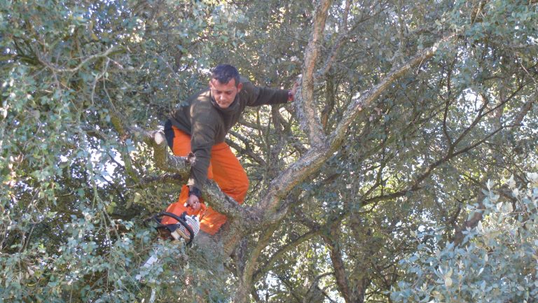 WhatsApp Image 2025-05-29 at 10.29.04 (1)