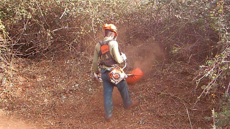 WhatsApp Image 2025-05-29 at 10.29.04 (2)