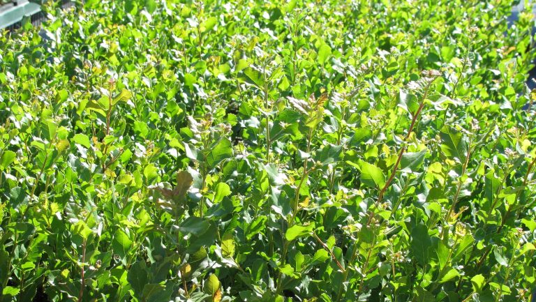 WhatsApp Image 2025-05-29 at 10.29.04