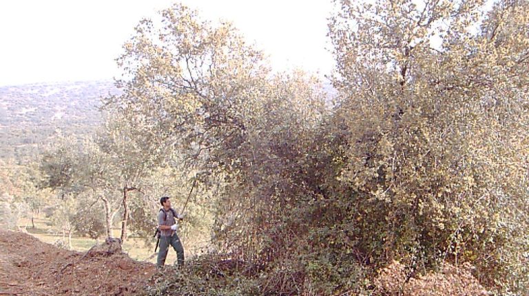 WhatsApp Image 2025-05-29 at 10.29.05