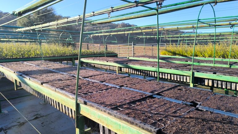 WhatsApp Image 2025-05-30 at 10.04.10