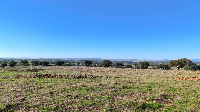 WhatsApp Image 2025-05-30 at 10.04.103