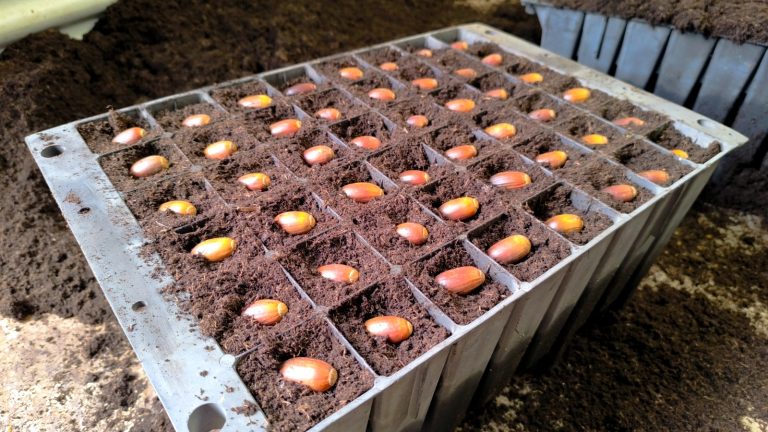 WhatsApp Image 2025-05-30 at 10.04.104